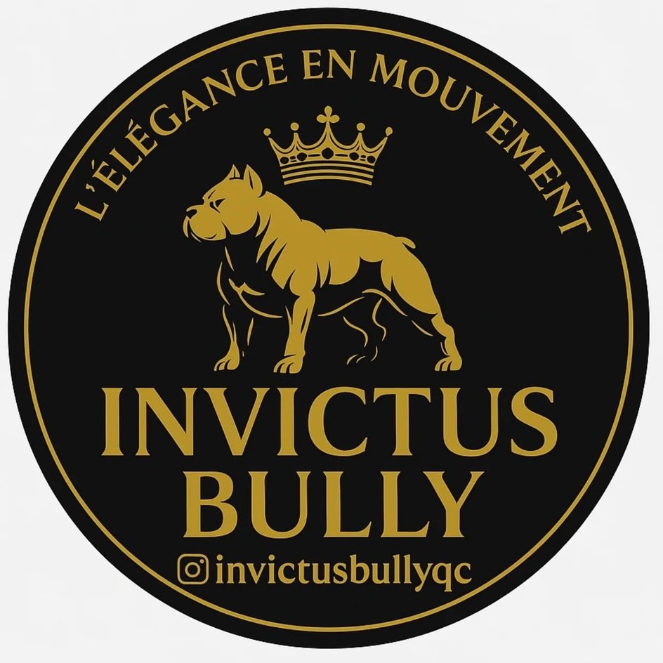 Invictus Bully American Bully and Frenchie Excellence
