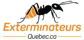 Politiguy Correct - 20250415 - exterminateurquebec.ca