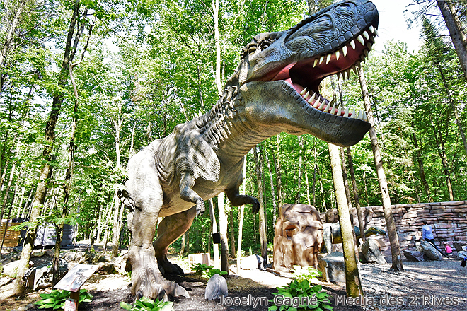 Laurent et les Truands avec Karl K. Boucher, Directeur du Woodooliparc 