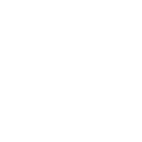 Journal de Lévis