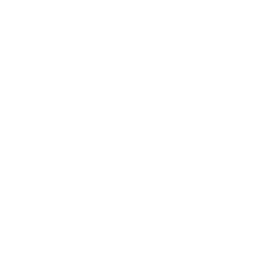 Trajectoire emploi